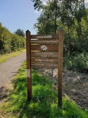 The Young People's Forest at Mead