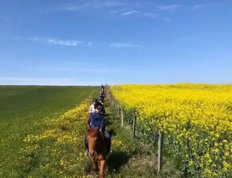 Domaine Equestre Des Pialoux