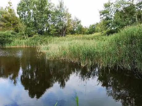 Réserve naturelle régionale du marais de Reuves