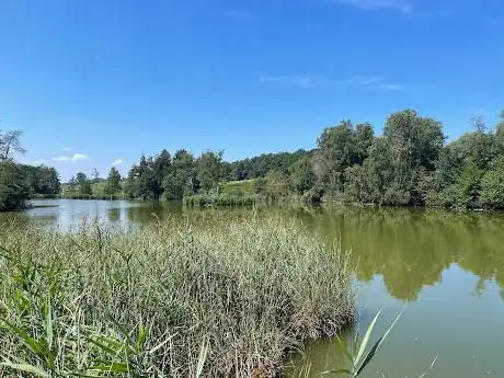 Husemersee / Liebessee / Romantisch