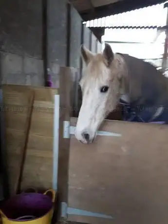 The Treliever Equestrian Centre