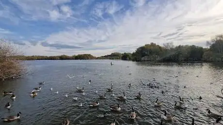 Duck Feeding Area