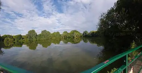 Ryton Pool