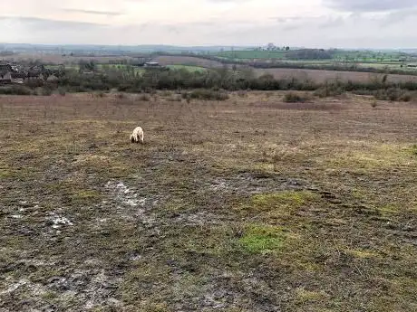 Bishop's Hill Nature Reserve