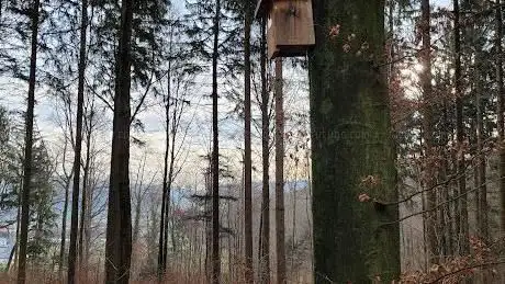 Vogelhäuschen im Uitikon Wald