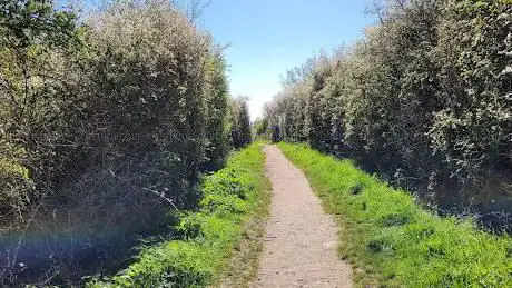 Bruton Park Community woodland