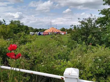 Thistley Place Meadow