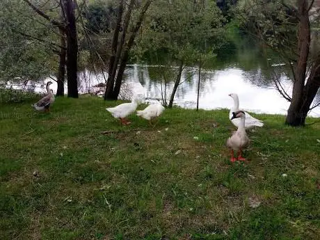 Sorgenti del Fiume Volturno