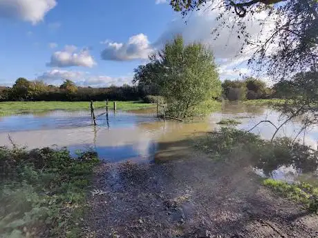 Knepp Estate - Rewilding Area