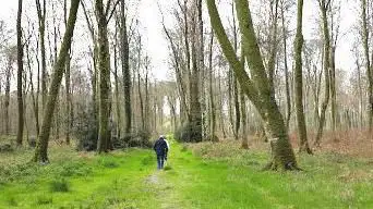 carrefour du chêne au veneur