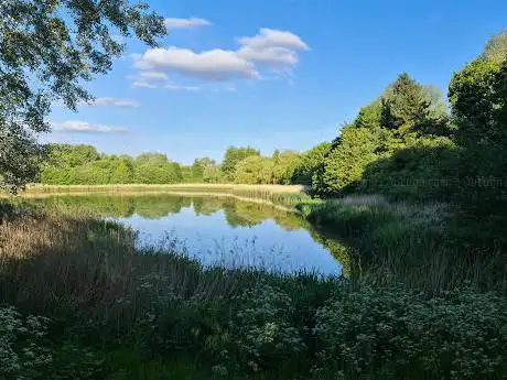 Millfields Pool