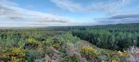 Duddle Heath nature reserve