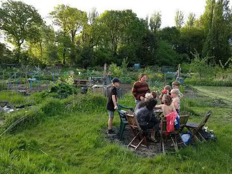 Billesley Lane Allotments