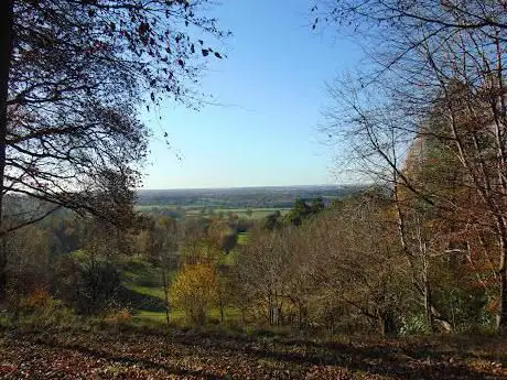 Deepdene Terrace