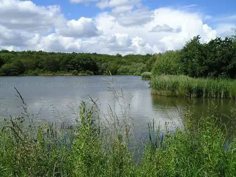 Hazelslade Nature Local Nature Reserve