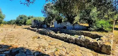 Roman forum of Cosa