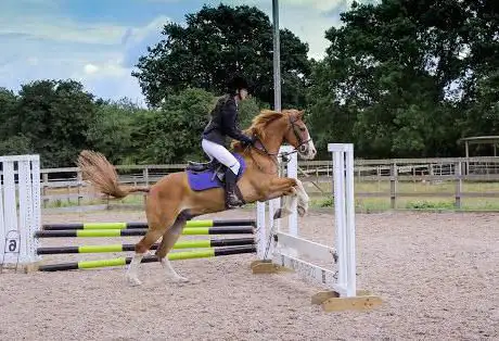 Blue Barn Equestrian Centre