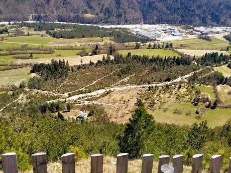 Parco Faunistico Pianpinedo - Cervi e Animali della montagna