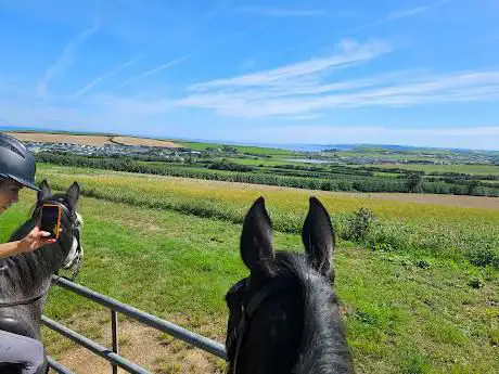 Broomhill Manor Riding Stables