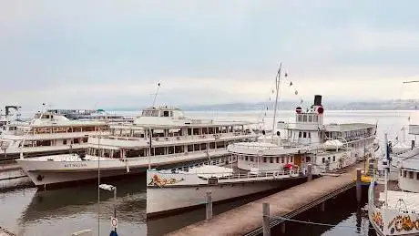 Zürichsee Schifffahrt Hafen