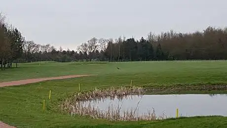 Golf near York