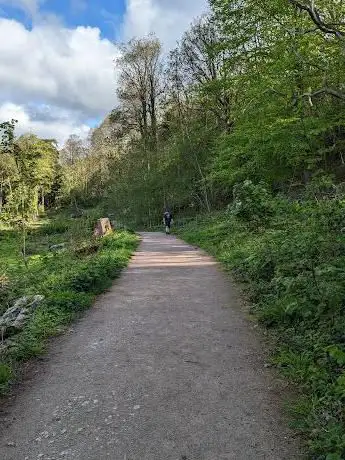 Gait Barrows National Nature Reserve