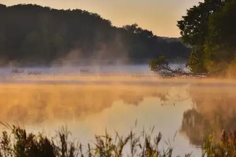 Weir Wood Bird Hide