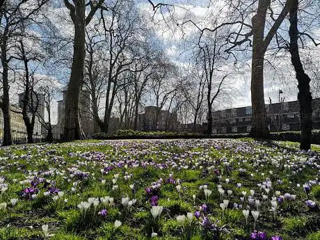 Oakley Square Gardens