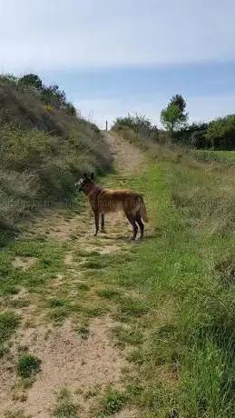 Antic CamÃ­ de Sant SebastiÃ 