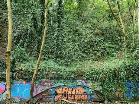 Old Train Tunnel