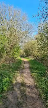 Beighton Marsh