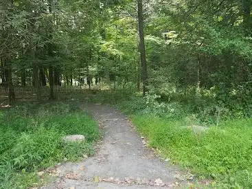 Saugatuck Universal Access Trail