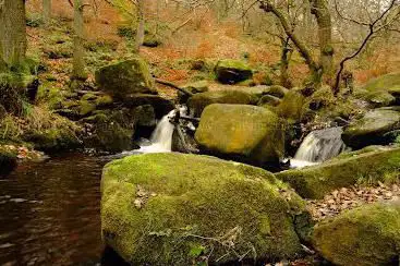 Padley Gorge