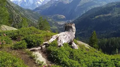 Cascade du Rutor