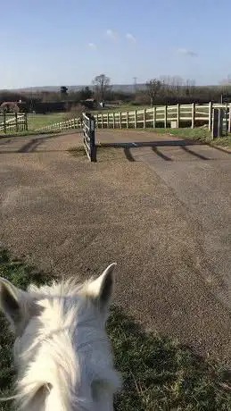 Ashley Harrison Eventing