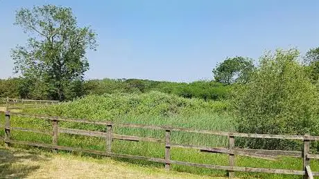 Bradgate Heights pond