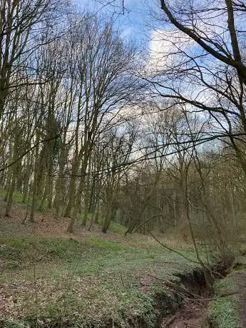 Colwick woods waterway