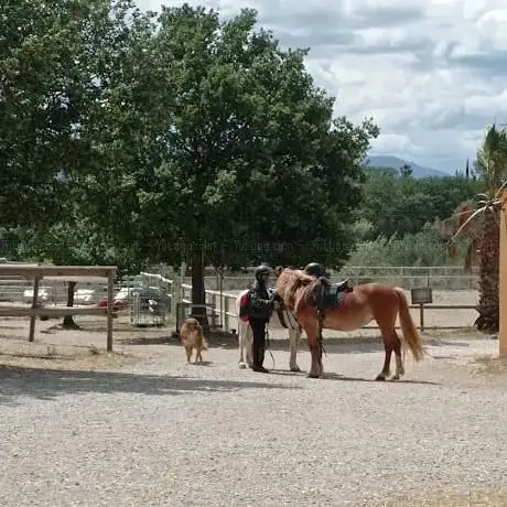 Centre Equestre Farella