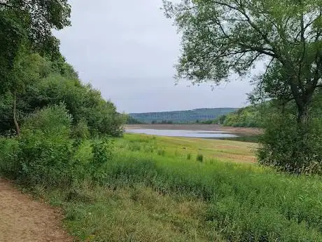 Morehall Reservoir Plantation