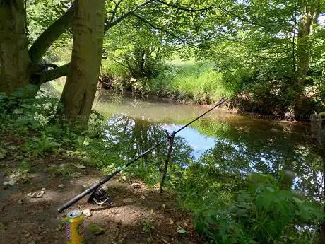 RSPB Dearne Valley - Little Houghton