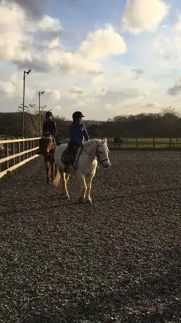 Tanglewood Equestrian Centre