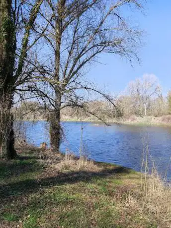 Etang des Accruaux