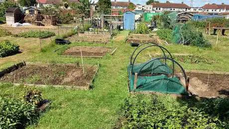 Bexley Allotments - Sherwood Park Avenue