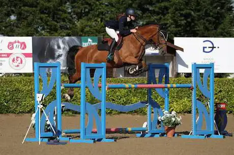 CP Showjumping