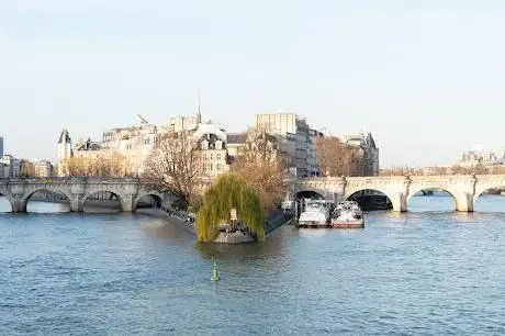 Vedettes du Pont Neuf