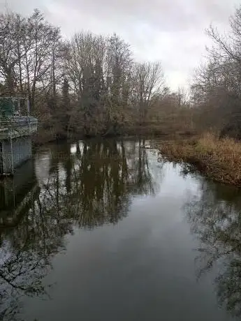 Mile Cross Marsh