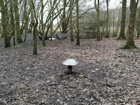 Metal Mushroom