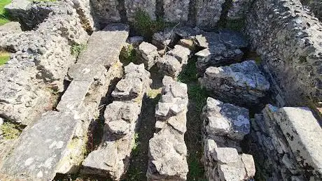 Roman Town House