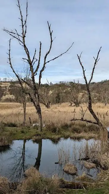 Niederried Oltigenmatt Nature Reserve