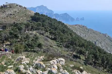 Pineta di San Costanzo